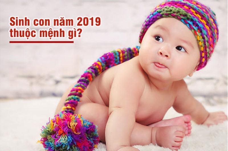 sinh nam 2019 mang gi